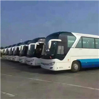 三亚大巴中巴商务小车租车 