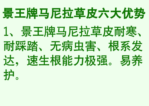 贵州草皮直销*马尼拉草皮*贵州马尼拉草皮 