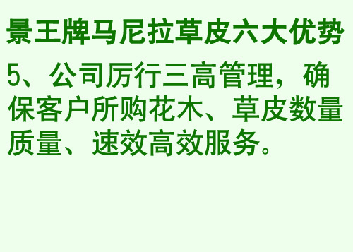 海南草皮13807685243海南绿化树木 