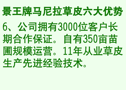海口马尼拉草坪13807685243海口百慕大草坪 