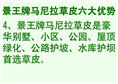 马尼拉草皮六大优势+海南马尼拉草皮 