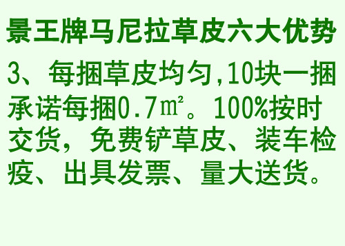 贵州草坪。贵州草皮。四川草皮 
