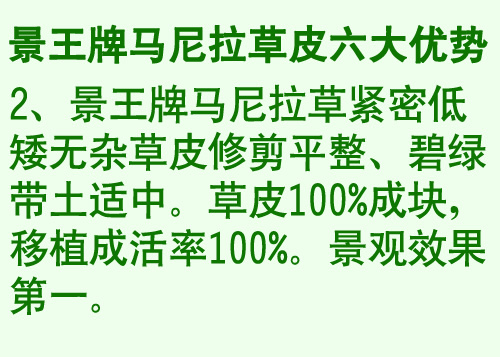 供应湖北草皮↙湖北马尼拉草皮$湖北草皮 