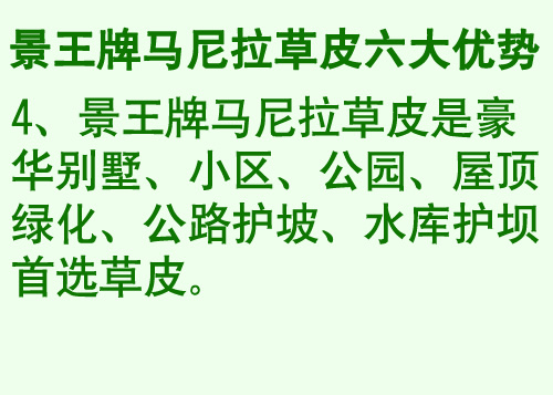 贵州马尼拉草皮公司*贵州草皮价格 