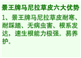 草皮供应∮湖北草皮批发$湖北草皮 