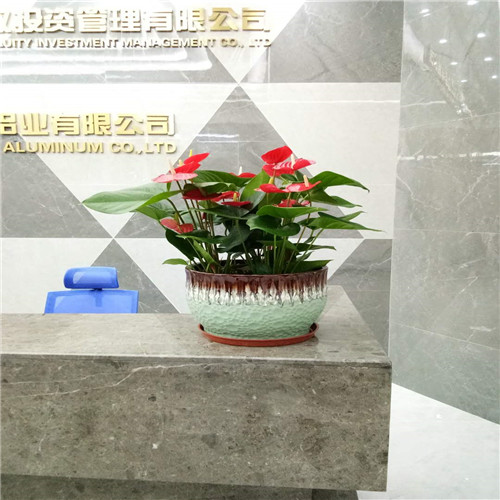 佛山租花a顺德边坡绿化