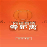 漳州金泉网网站推广
