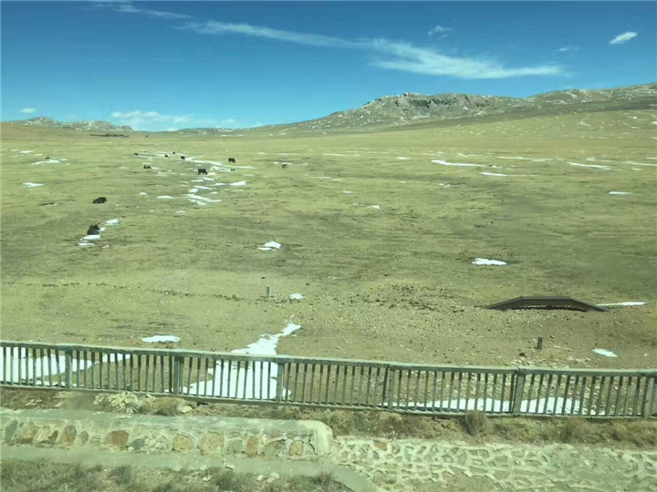 无锡到乌镇包车、乌镇到无锡包车