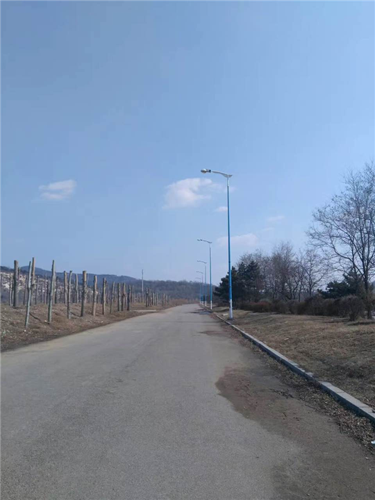 乌镇到南京包车，杭州西湖到乌镇包车