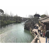 杭州到乌镇包车，萧山机场到乌镇包车，