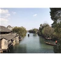 乌镇到上海迪斯尼包车，上海迪斯尼乌镇包车