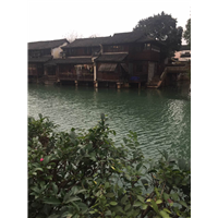 乌镇到西湖包车，乌镇到杭州包车 