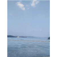乌镇到上海包车拼车，乌镇到苏州包车拼车