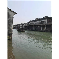 横店到乌镇包车，乌镇到横店包车。