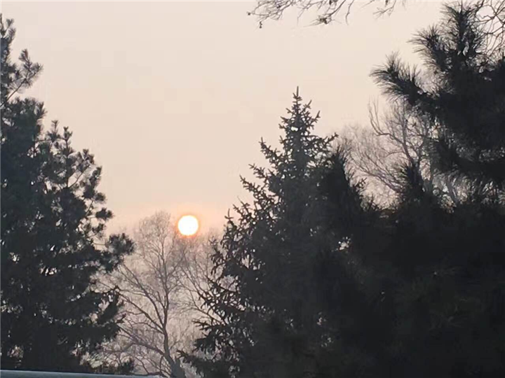 普陀山到乌镇包车  乌镇到普陀山包车 