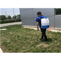 奉化灭鼠公司