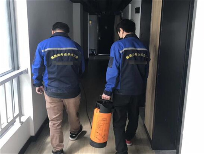 奉化灭蟑螂