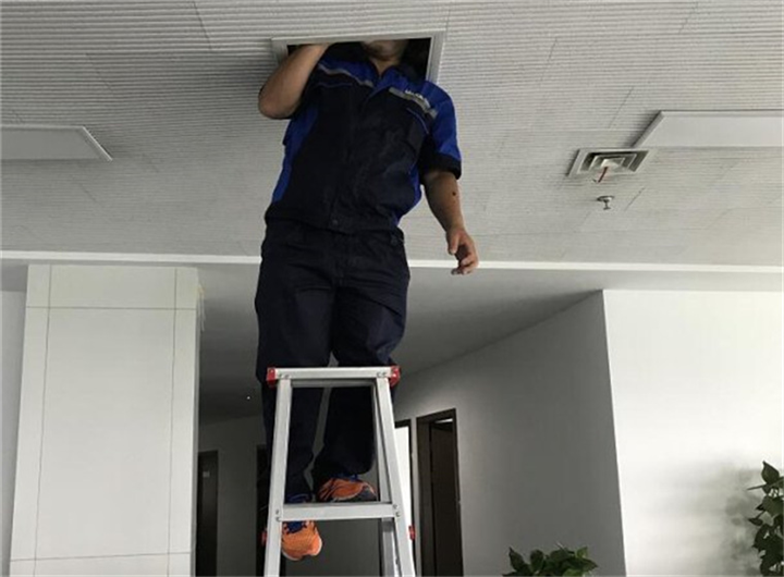 奉化小区杀虫灭鼠电话