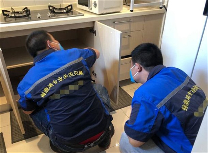 北仑区灭蟑螂