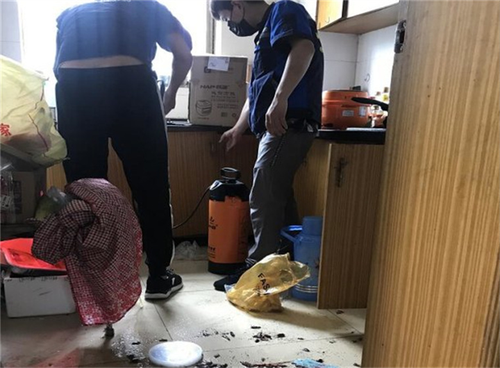 奉化白蚁防治公司电话