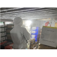 奉化白蚁防治公司
