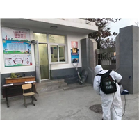 奉化白蚁防治