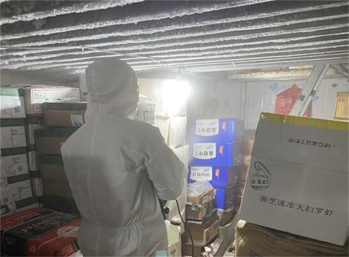 鄞州区灭白蚁