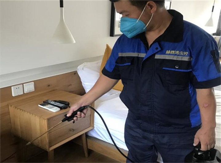 奉化灭白蚁公司