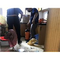 奉化白蚁防治公司电话