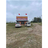 安徽银杏基地