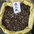 浙江价格低的羽毛枫供应商