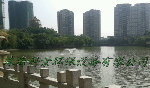 湖泊水处理增氧提水式喷泉曝气机 