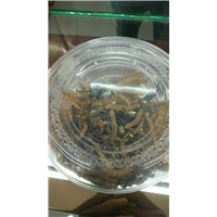咸阳老酒收藏，回收老酒