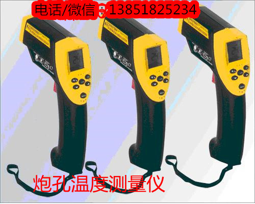 炮孔温度测量仪 