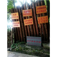 安顺包车师傅 