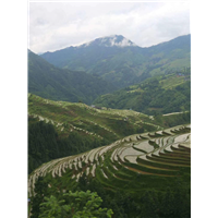 贵州旅游包车 
