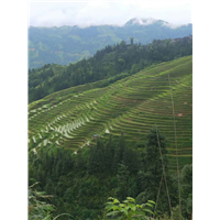 贵阳机场接送服务电话 