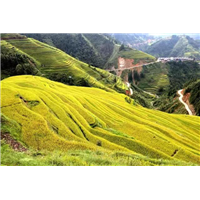 贵阳旅游包车师傅电话 