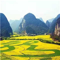 贵阳旅游包车师傅公司电话 