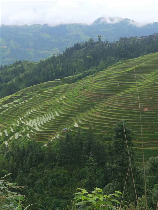贵阳旅游包车咨询 