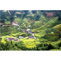 贵阳旅游包车电话多少 