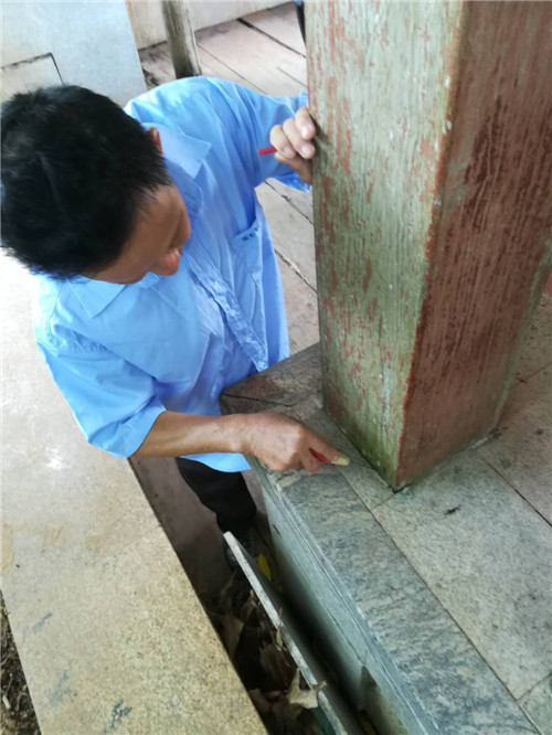 小榄灭白蚁