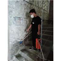 中山灭白蚁 