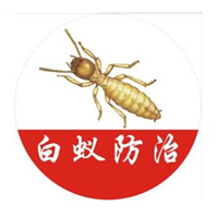 惠东灭白蚁 
