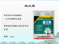 绵阳油锯|绵阳高枝油锯