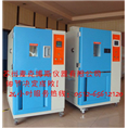高淳恒温恒湿试验箱 