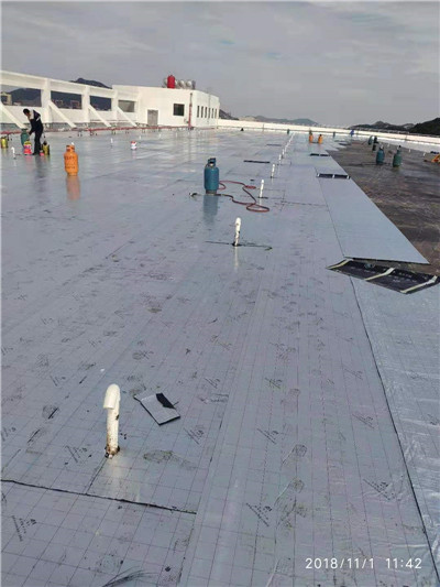 路桥防水补漏师傅 