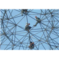郑州网架设计安装公司 