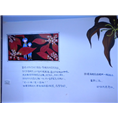 襄阳外墙广告 