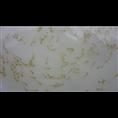 草鱼苗 哪里有卖草鱼苗的 